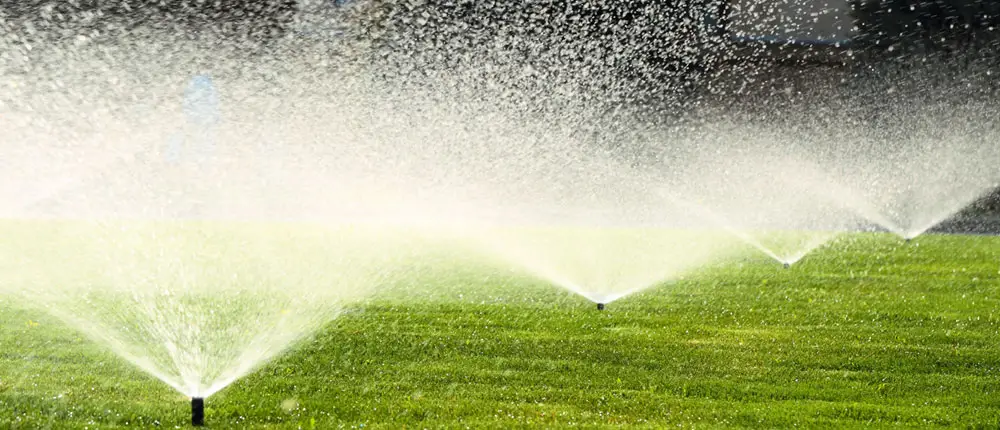 Are Your Sprinklers Watering Evenly?